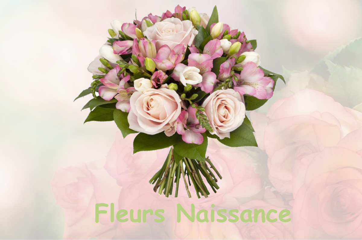 fleurs naissance BARON