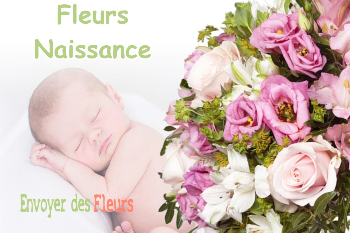 lIVRAISON FLEURS NAISSANCE à BARON